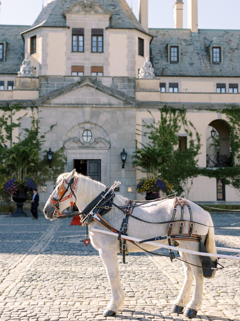 A gray horse stands in from of the Oheka Castle wedding venue, ready to pull the bridal carriage.